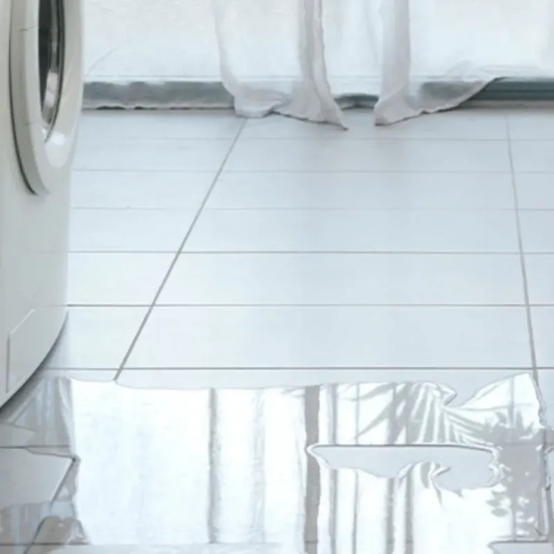 Appliance Leak Cleanup in Spring Green, WI