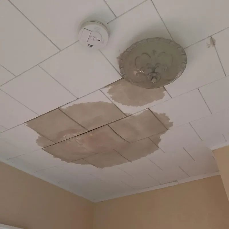 Ceiling Water Damage Repair in Spring Green, WI