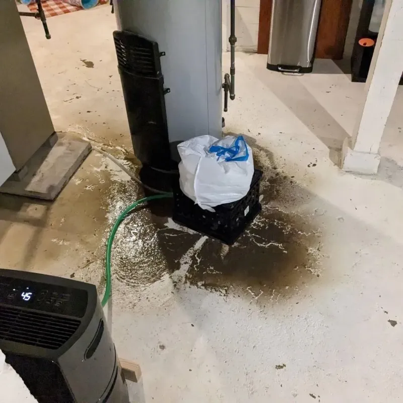 Sewage Backup Cleanup Service in Spring Green, WI